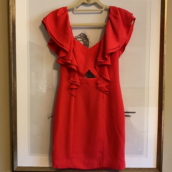 Stylestalker Ruffle Cocktail Dress - Picture 4 of 11